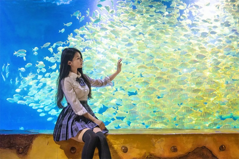 99元女神票开售~海底玫瑰之吻，浪漫来袭！