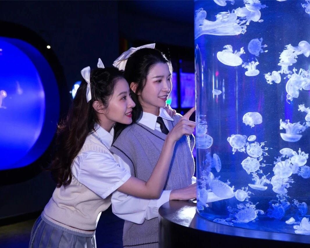 错峰放价！双人票318、学生票99！四人年卡1088！