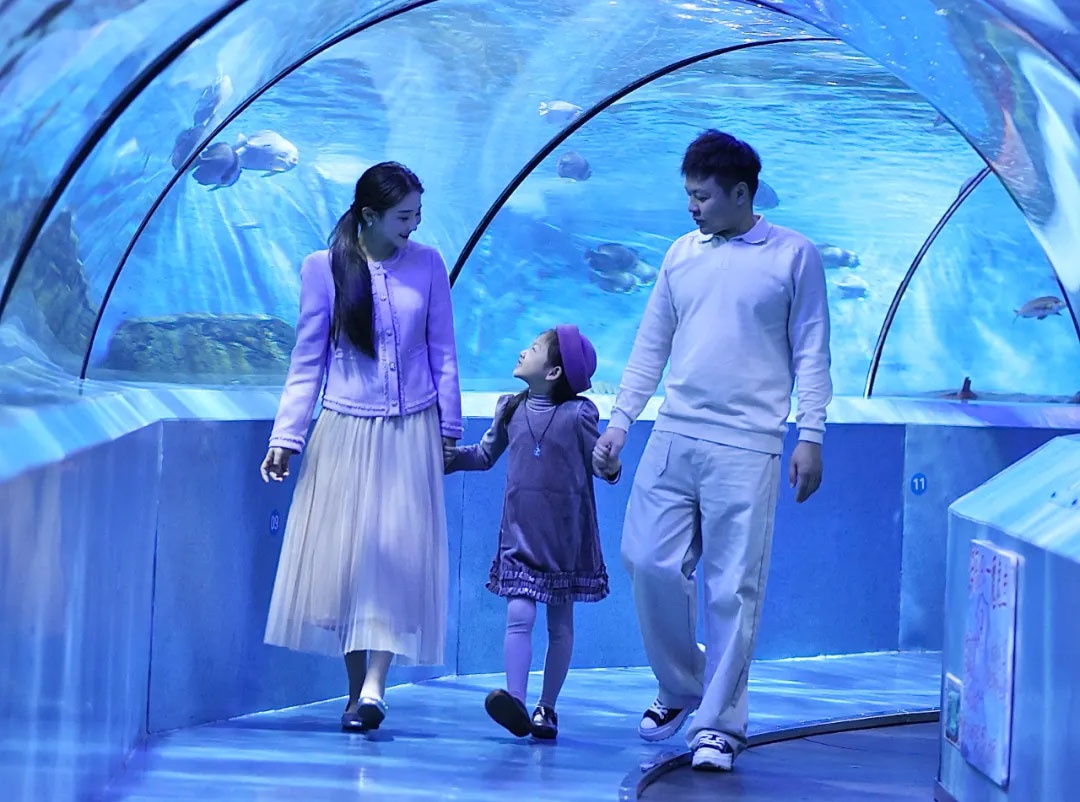 双12“冻”真格！双人票298元起，暖气、萌宠、蔚蓝海，一键打包！