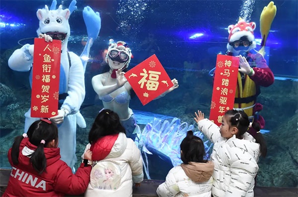 姓马、属马、名字带“马”？南京海底世界请你99元过大年！