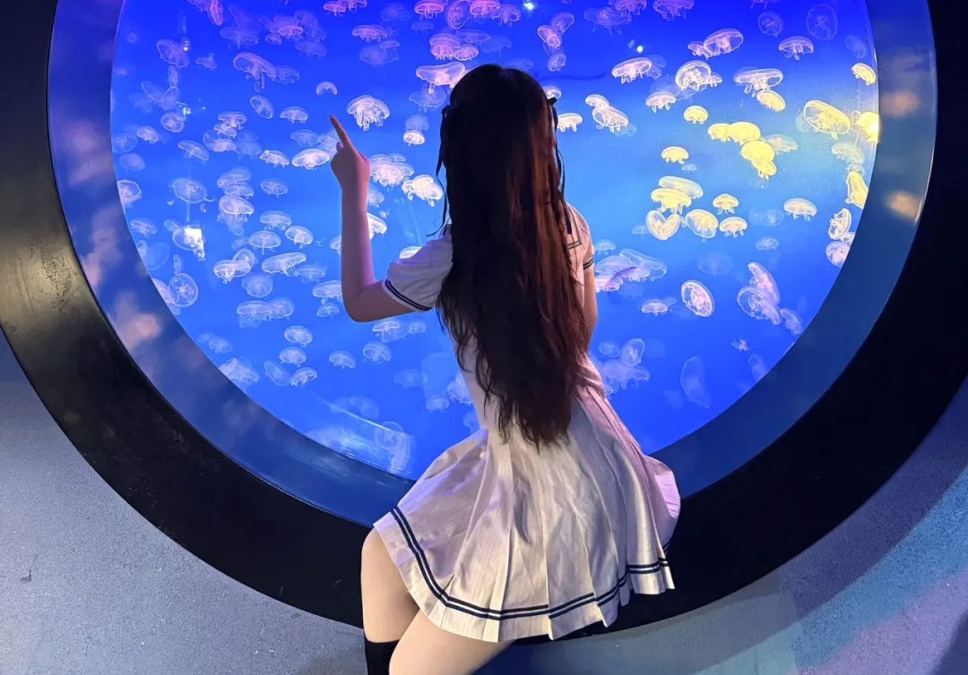 门票“打骨折”！69元起玩转一整个南京海底世界