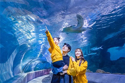 半价开抢！清明春假6天连休，免费拍照、晚场加开、免费接驳~