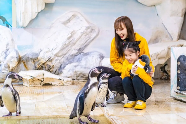 企鹅保育员、海豚驯养员火热报名中~和小动物一起玩耍